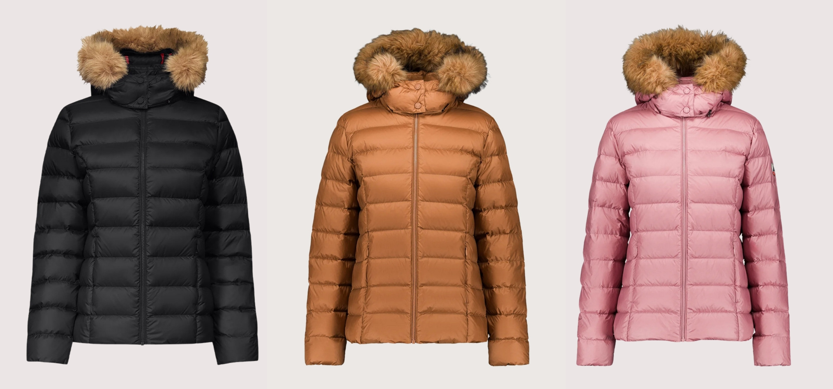notre avis sur la marque jott